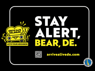 Stay Alert